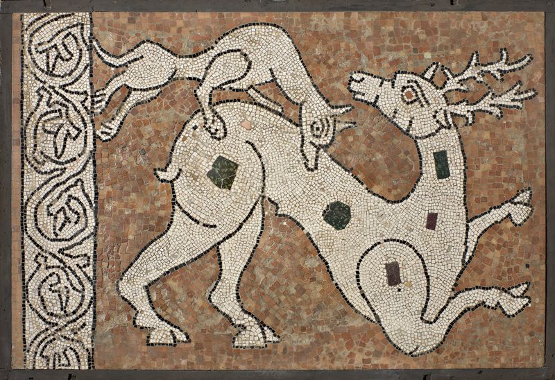 Cervo assalito da un lupo, ultimo decennio  sec. XI (foto C. Vannini)